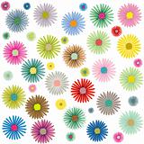 colored flowers pattern isolated on white background