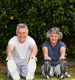 Retired couple doing their exercises 