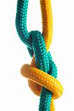 Rope with marine knot on white background. series of photos