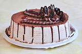 A delicious chocolate cake decorated with figural 