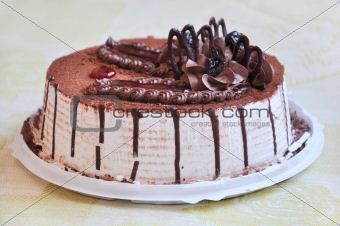 A delicious chocolate cake decorated with figural 