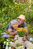Senior couple working in the garden