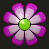Daisy with purple petals