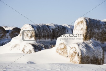 Snow on hay bales.