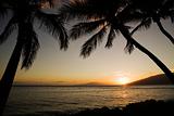 Tropical Hawaiian sunset.