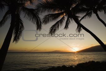 Tropical Hawaiian sunset.