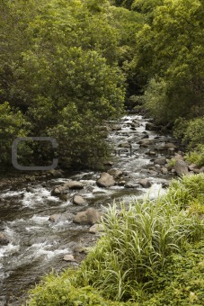 Rocky flowing creek.