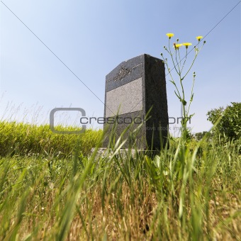 Headstone in field.