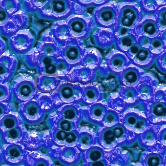 Blue bacteria under microscope