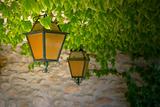 Orange and Black Lanterns with Vines Against Stone Wall