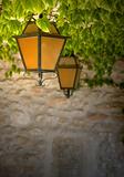 Orange and Black Lanterns with Vines Against Stone Wall 2