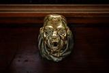 Creepy Head Shaped Brass Doorknob Against Dark Wood, Venice
