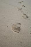 Footsteps On The Beach