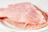 Raw turkey breast