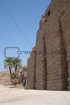 Egypt Series (Palm Tree Vertical)