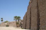 Egypt Series (Palm Tree Horizontal)
