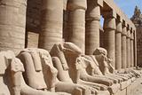 Egypt Series (Lion Statues)