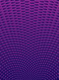 purple radiate