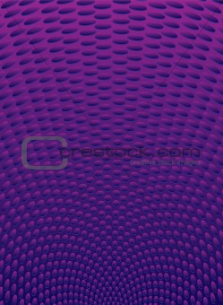 purple radiate
