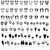Collection of shoe print, footprint, animal and bird trails