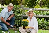 Mature couple working in the garden