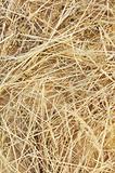 Detail of dry grass hay background