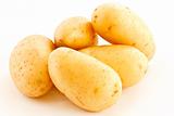 young  potatoes 