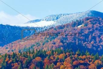 autumn mountain forest