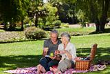 Elderly couple  picnicking in the garden 