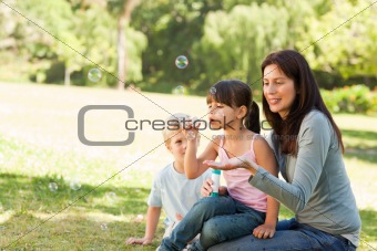 Family blowing bubbles in the park