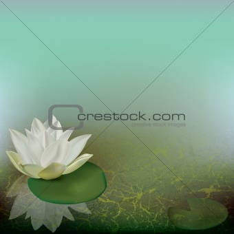 abstract floral illustration