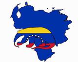 Anteater  Venezuela 