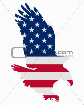 American bold eagle