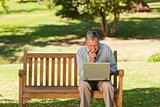 Elderly man working on his laptop in the park