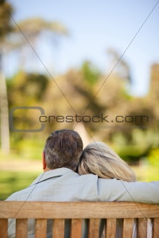 Elderly couple sitting on the bench with their back to the camera