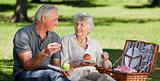 Retired couple  picnicking in the garden 