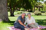 Senior couple  picnicking in the garden 