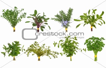 Herb Leaf Posy Selection