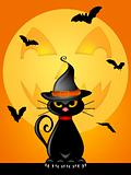 Halloween Cat with Witches Hat by Jack O Lantern Moon