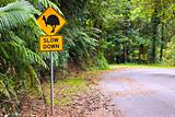 Cassowary road warning sign in Asutralia