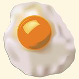 vector fried egg