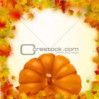 Colorful autumn card. EPS 8