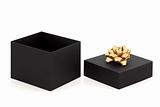Gift Box and Gold Bow