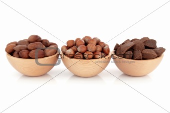 Pecan, Hazelnut and Brazil Nuts