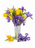 Tulip and Iris Flowers