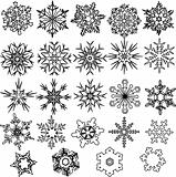 Snowflakes vector illustration