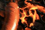 BBQ Sausage / Hot Dog