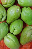 chayote mango squash mirliton vegetable