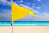 Beach yellow flag weather wind advice