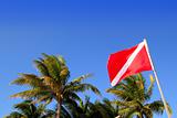 Scuba diver down flag tropical palm trees blue sky